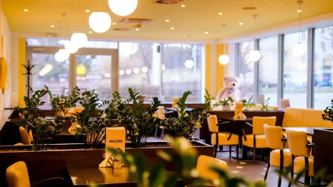 Ollies Olomouc in โอโลมุก