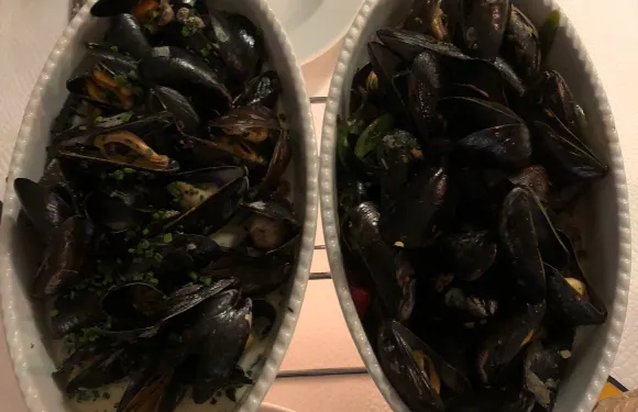 Moules-Edy Ambassador