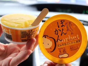 Kochi Ice Cafe
