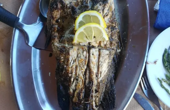 Porto