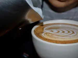 Zaranda Cafe Palafox