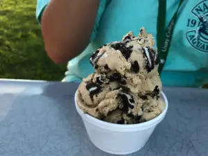 Fielder's Choice Ice Cream