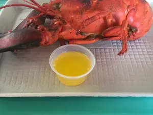 Chauncey Creek Lobster Pier