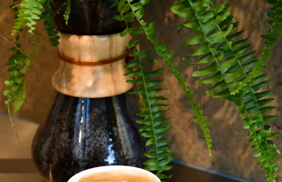 Wakuli Specialty Coffee Bar