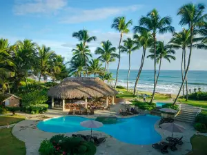 Martinis Beach Bar & Grill