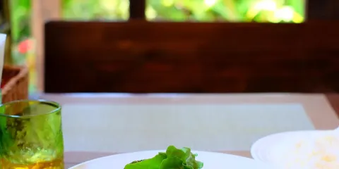 Yashinamiki