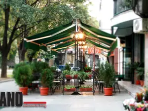 Del Cano