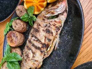 Tribidrag Restaurant & Bar