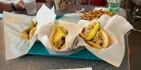 Jack's Cosmic Dogs