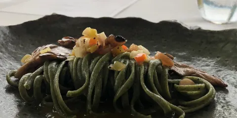 Kanopi