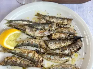 Katagounas