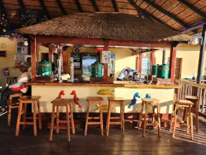 The Drunken Clam - Mozambique