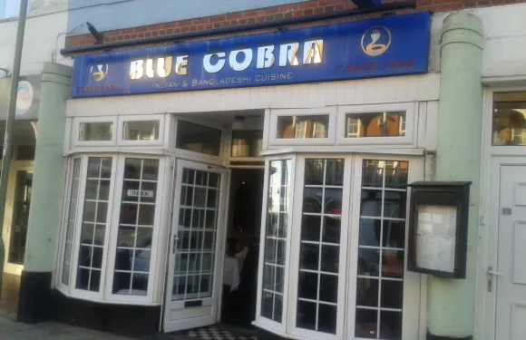 Blue Cobra
