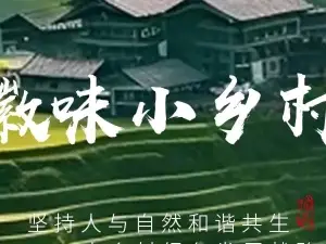 徽味小乡村酸菜鱼土菜馆(皖南川藏线东入口店)