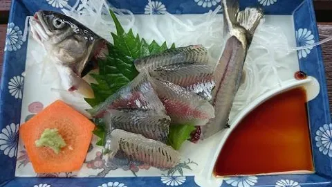Miyachika in 구조