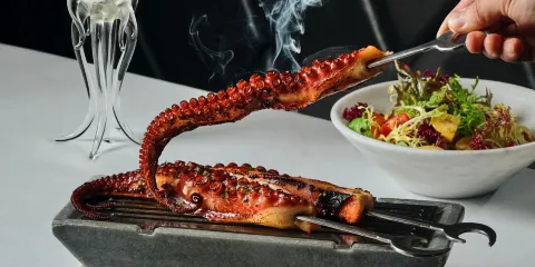 雅舍