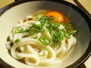 Gamō Udon