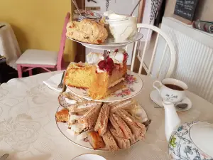 Shipley’s Curiositeas