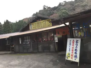 長谷の里