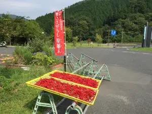 Mizunosato Okutsuko