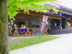 Tsuga Base