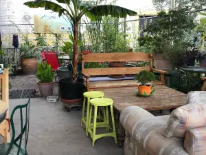 Javalina Coffee House