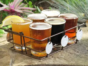 Lazy Dog Restaurant & Bar
