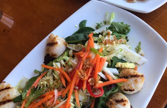 Noah's Restaurant