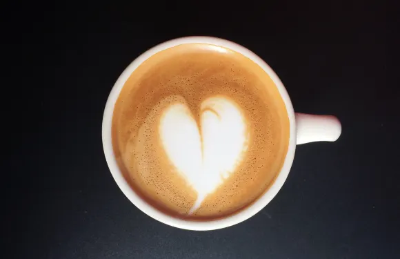 The Coffee Compound