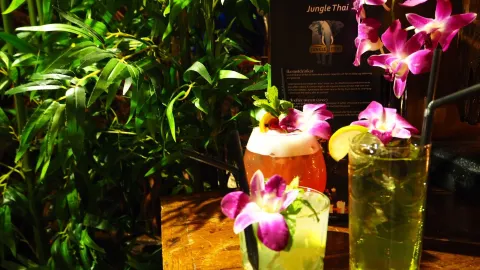Jungle Thai in 延雪平