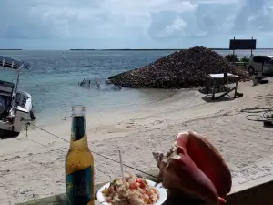 Joe's Conch Stand