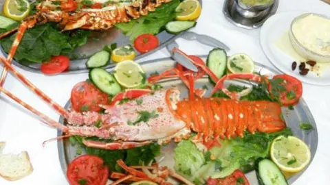 ALFAS RESTAURANT in Thasos
