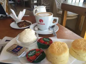 Cafe Penguino