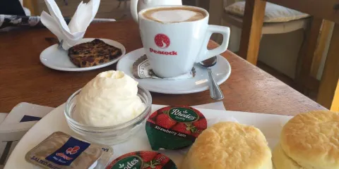 Cafe Penguino