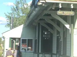 Big Moose Station