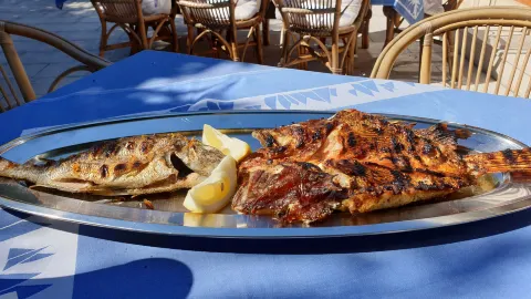 Pojoda Restaurant in 비스