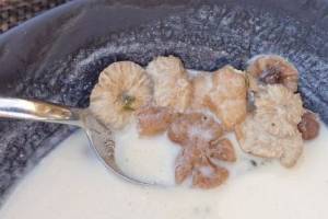 奶油蘑菇湯