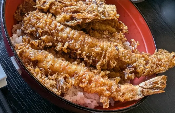 Tempuratsuyuki