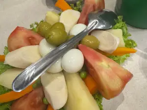 Chopani
