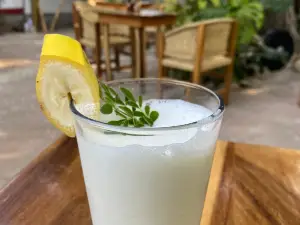 Café Elephant Garden