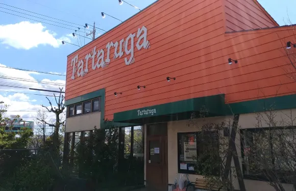 Tartaruga Kitaokazaki
