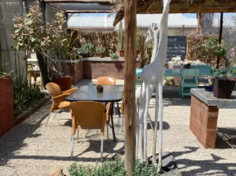 Cactus Coffee & Teagarden