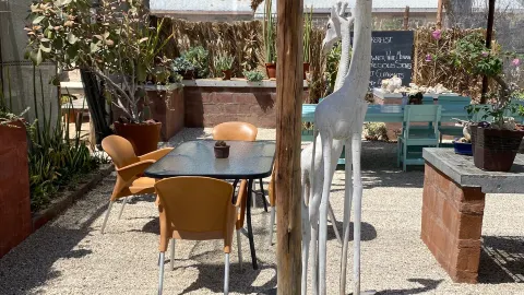 Cactus and Coffee Teagarden in 에른고