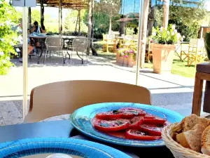 Barlotti