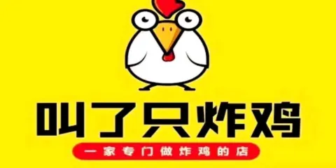 叫了衹炸雞（平原金街店）