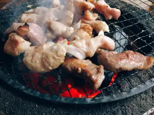 Tatsumi Hormone