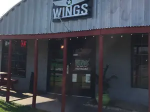 Wings Over USA