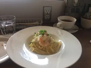 Polpo