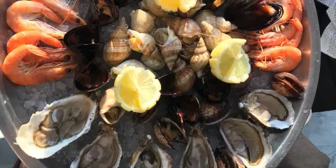 La Brasserie du Port