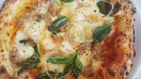 Parthenope in Grosseto